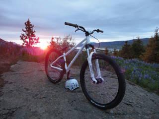 Norco Two50 