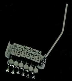Floyd Rose