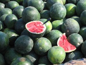 Big juicy melons!