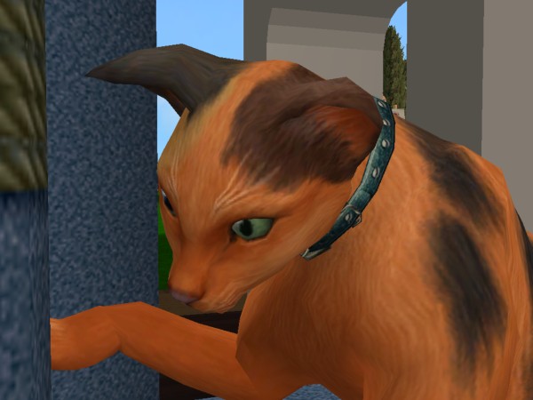 Sims