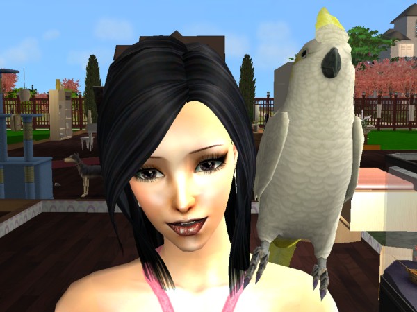 Sims