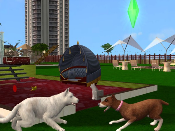 Sims