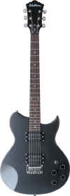 Washburn WI14