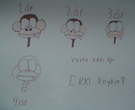 Apaútgáfan 1 árs