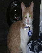 hjálp