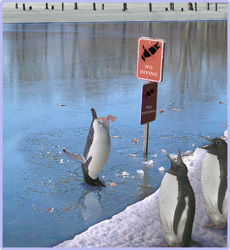 Mörgæsir...