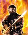 (Xbox) Ninja Gaiden - Pressure