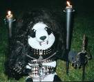 metall panda