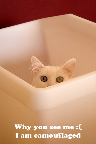 camoflage