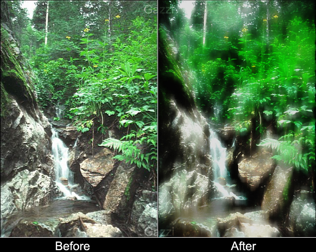 Before and After