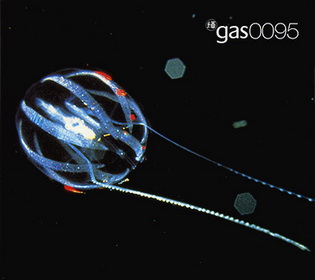 Gas 0095