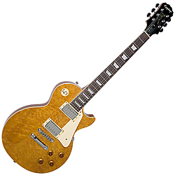 Epiphone Les Paul Standard(birdseye exclusive)