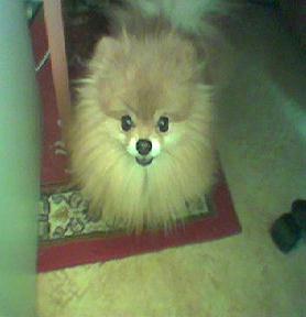 R.I.P. Simbi
