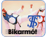Tsh Bikarmót 2