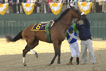 Barbaro allur
