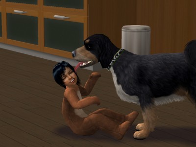 sims