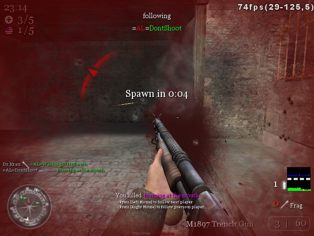 nice server