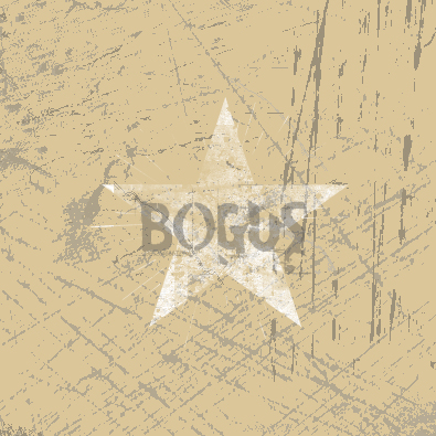 bogus logo!