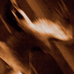 Agalloch - Ashes Against the Grain