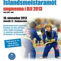 Íslandsmeistaramót ungmenna í BJJ 2013