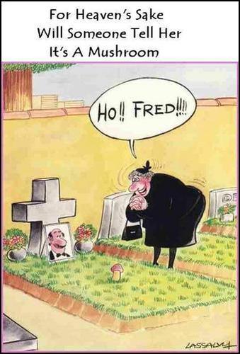 will somevon tell here is ...... x)