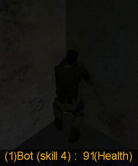 Half-Life