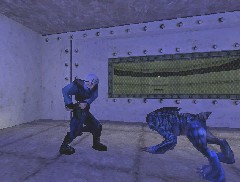 Half-Life