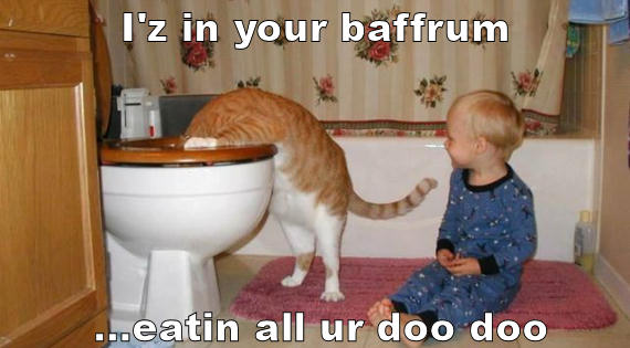 im in ur baffroom