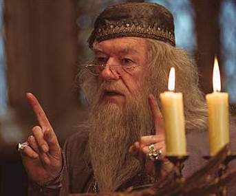 Dumbledore er hommi...
