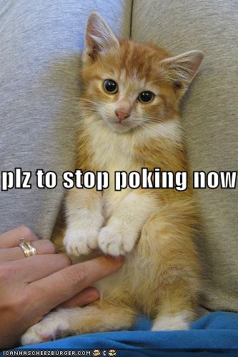 Plz to stop poking now