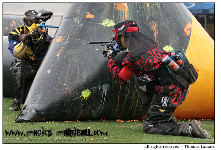 Campaing cup -speedball-