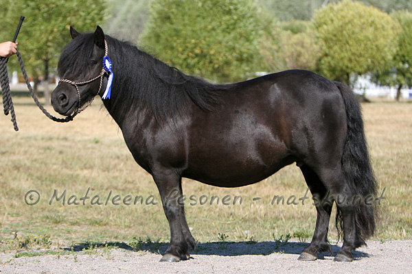 Zenta