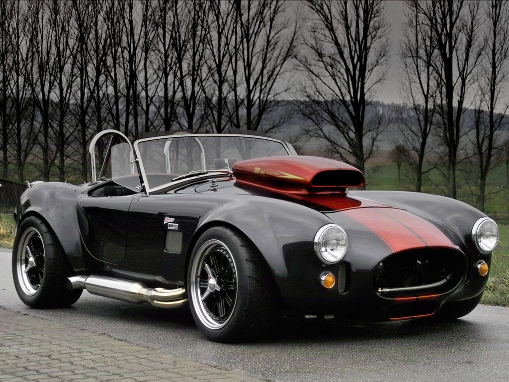 2006 Weineck Cobra 780 cui Limited
