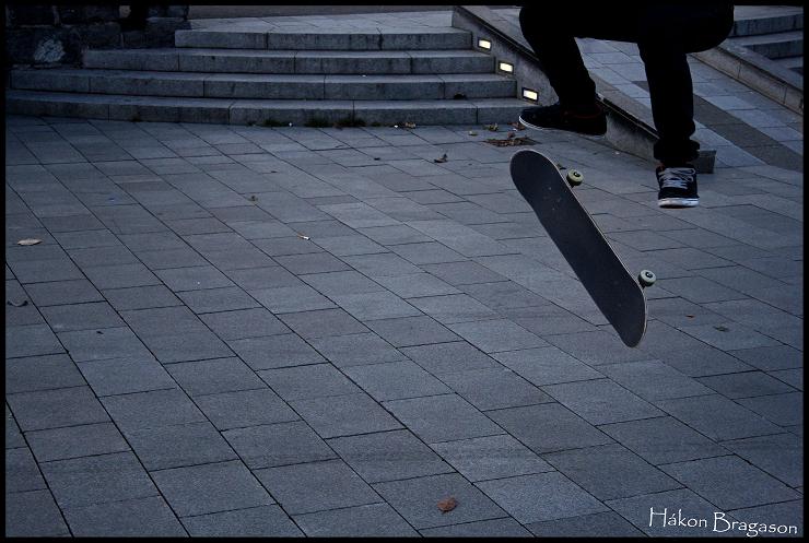 fs flip