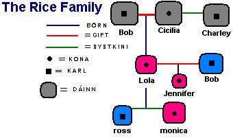 Rice 4.kafli