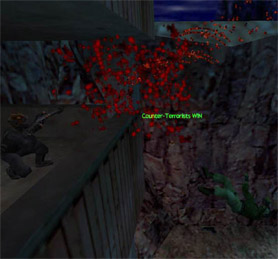 Half-Life