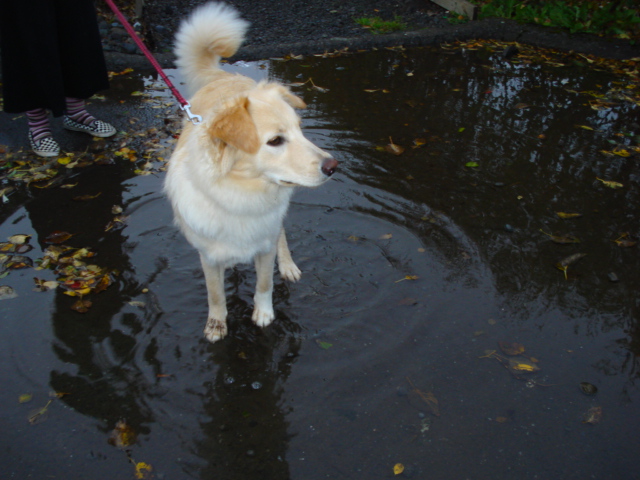 Salka :)
