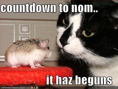 Countdown to nom