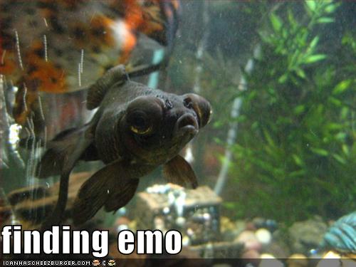 Finding Emo