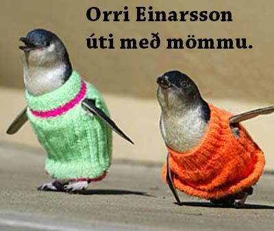 Orri Einarsson
