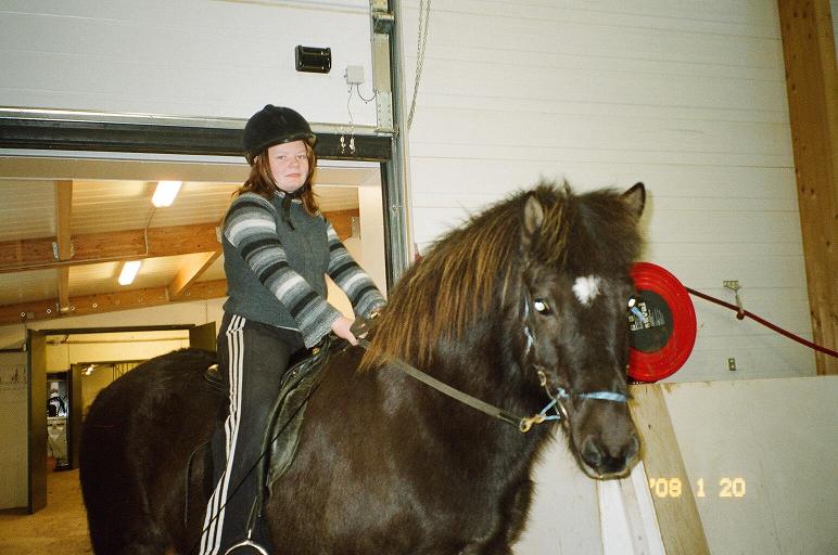 Eitill á Frumtamningarnámskeiðinu =)
