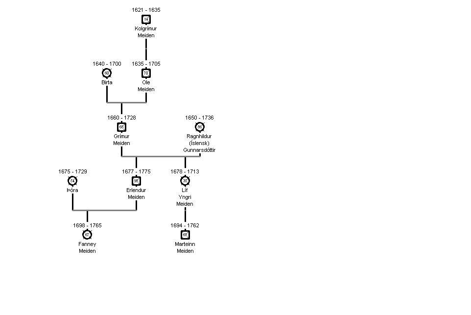 Afkomendur Kolgríms Meiden til 1700