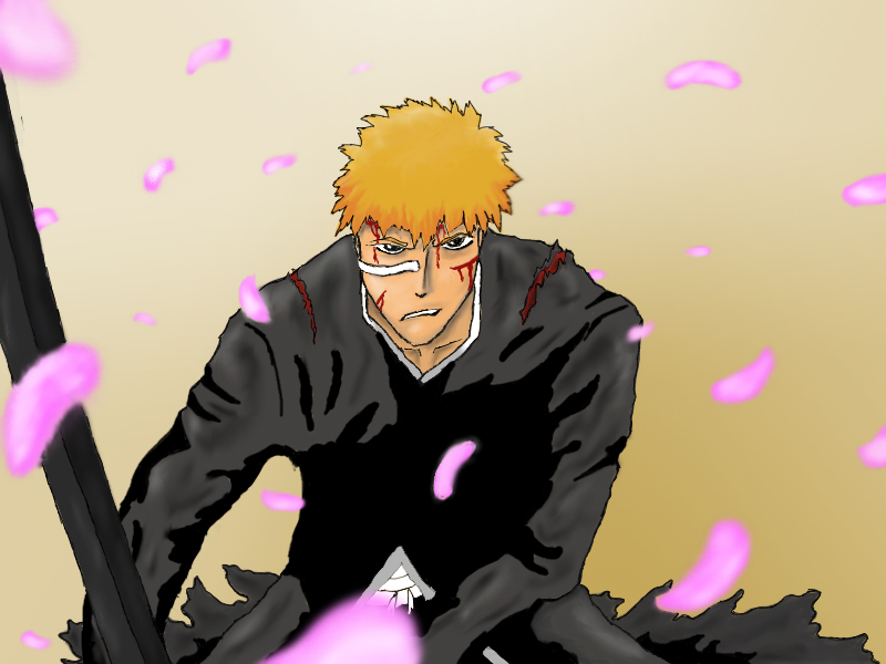 Bleach - Myndakeppni
