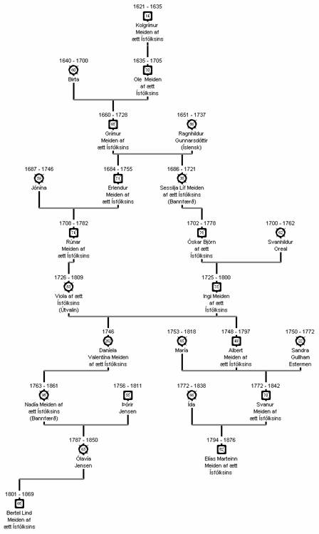 Afkomendur Kolgríms Meiden til 1800