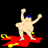 Brandarar