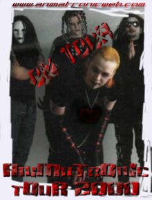 Metall