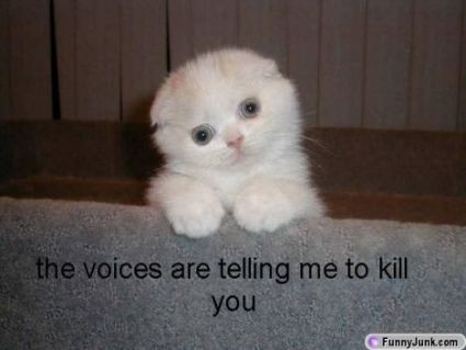 The voices in my head are telling me to kill you.