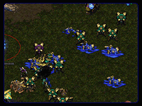 Starcraft
