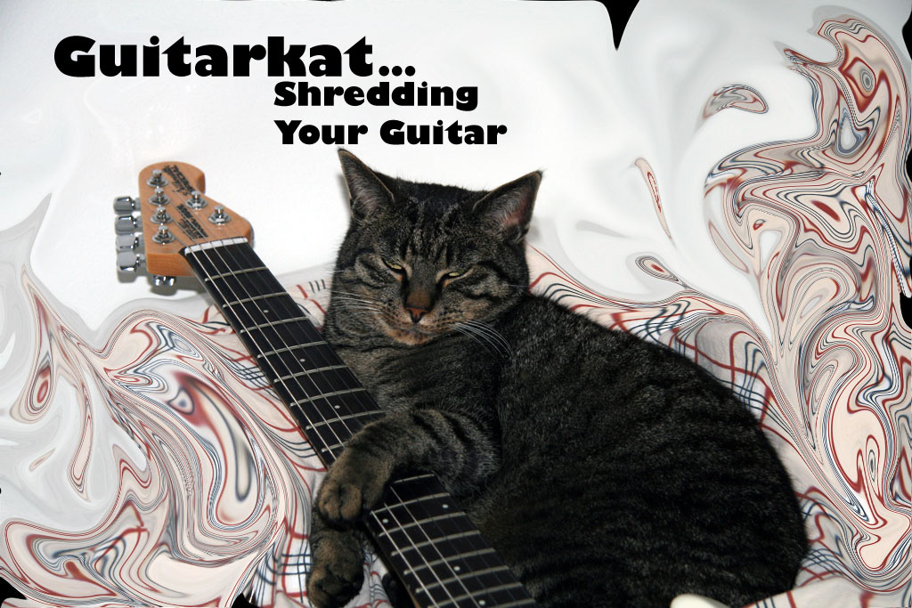Guitarkat - Myndakeppni