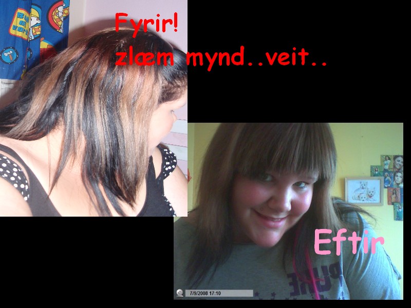 nýtt zhitt!